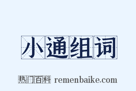 小通组词是什么意思的图片